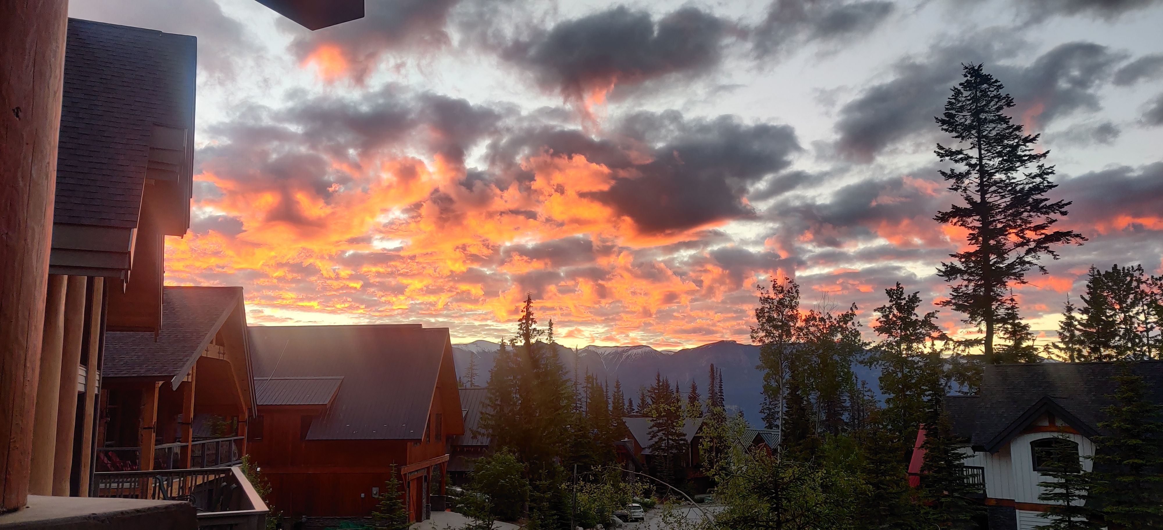 
          Some times things are just worth photographing
        